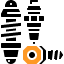 Professional service